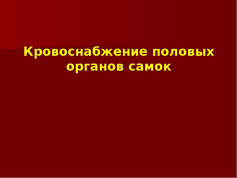 Кровоснабжение половых органов самок