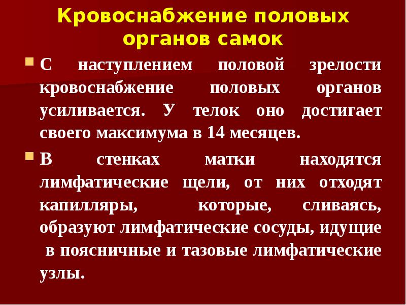 Кровоснабжение половых органов самок С наступлением половой зрелости кровоснабжение половых органов