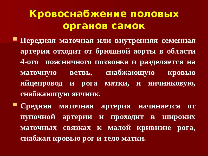 Кровоснабжение половых органов самок Передняя маточная или внутренняя семенная артерия отходит
