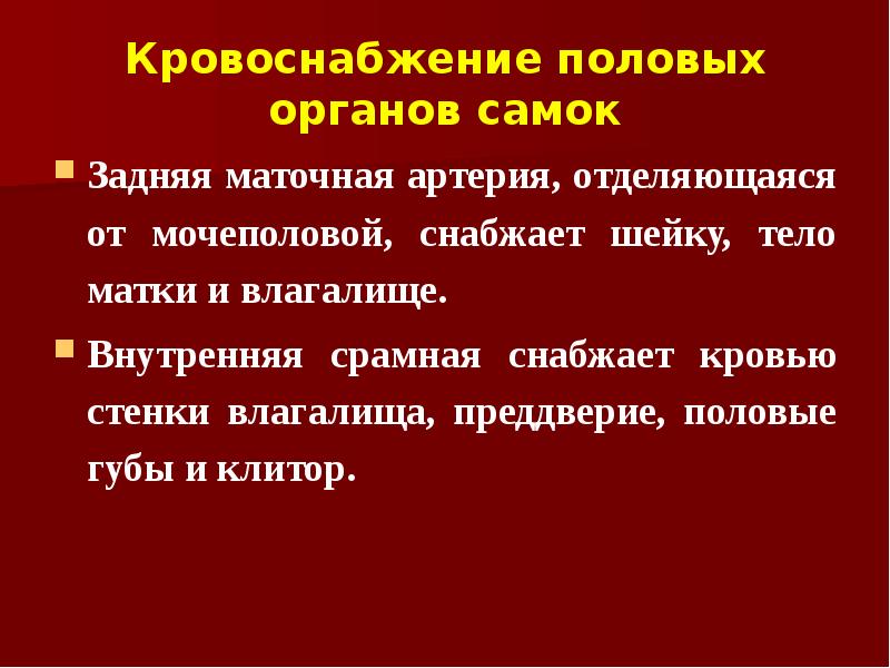 Кровоснабжение половых органов самок Задняя маточная артерия, отделяющаяся от мочеполовой, снабжает