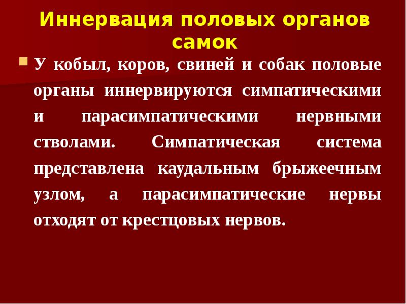 Иннервация половых органов самок У кобыл, коров, свиней и собак половые