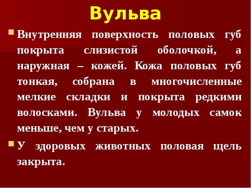 Вульва Внутренняя поверхность половых губ покрыта слизистой оболочкой, а наружная –