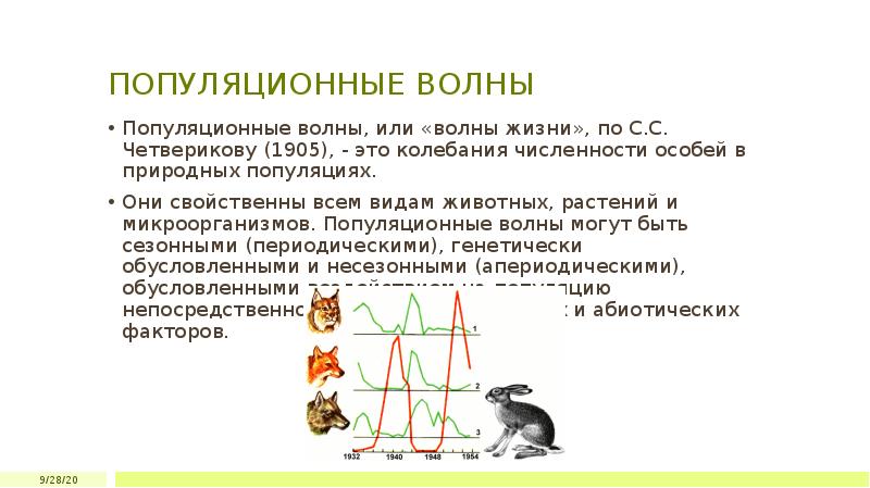 Дрейф генов презентация