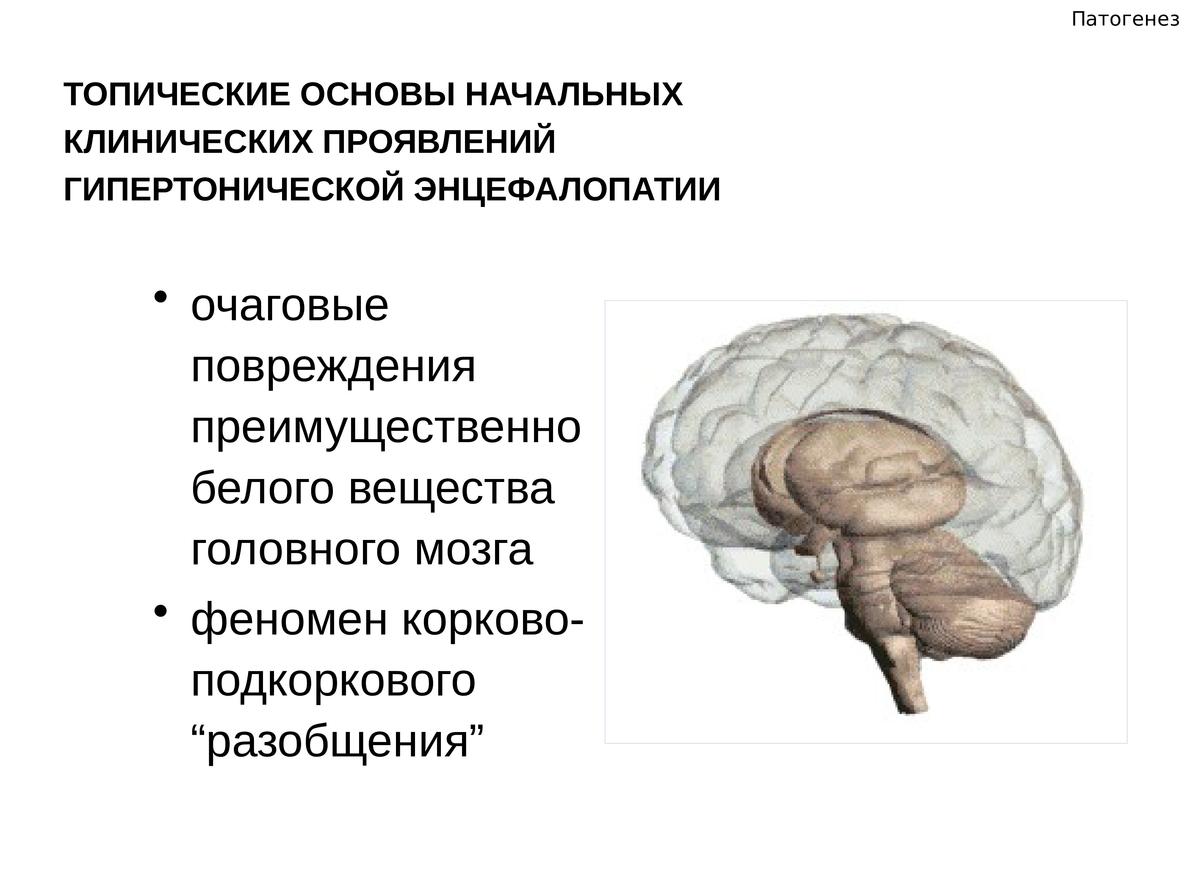 белое вещество головного мозга лечение. серое вещество головного мозга состоит. лейкоареоз на кт. белое вещество головного мозга лечение. поражение белого вещества головного мозга.