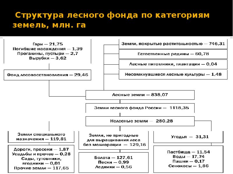 Документы лесного фонда