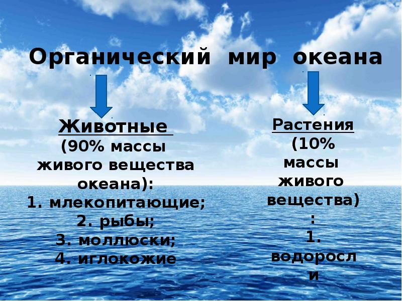 Презентация по географии 6 класс природный комплекс