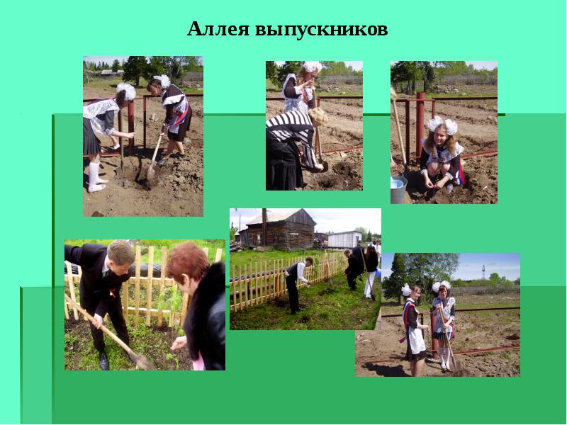 Сельская школа находится в поселке вершки. Аллея выпускников в школе проект. Аллея выпускников в школе презентация. Аллея выпускников логотип. Аллея выпускников картинка для слайда.