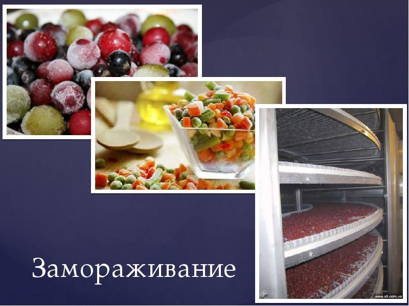 Заготовка продуктов презентация