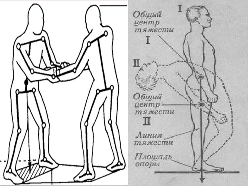 Медициналық биомеханика презентация