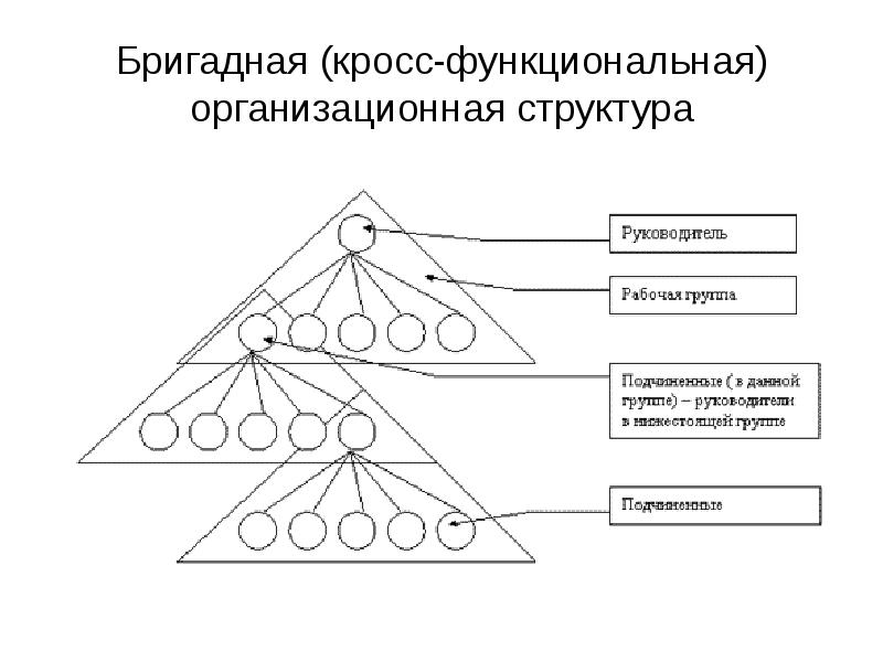 Бригадная (кросс-функциональная) организационная структура Бригадная (кросс-функциональная) организационная структура