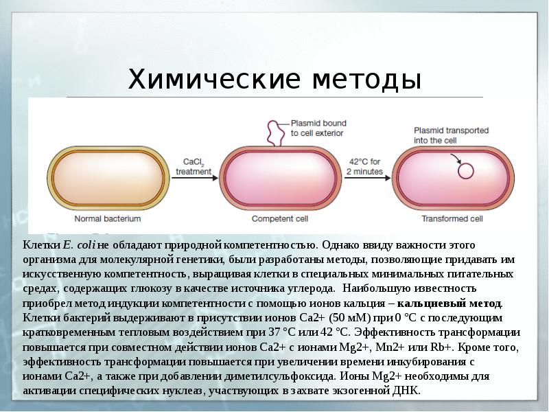 Химические методы Химические методы