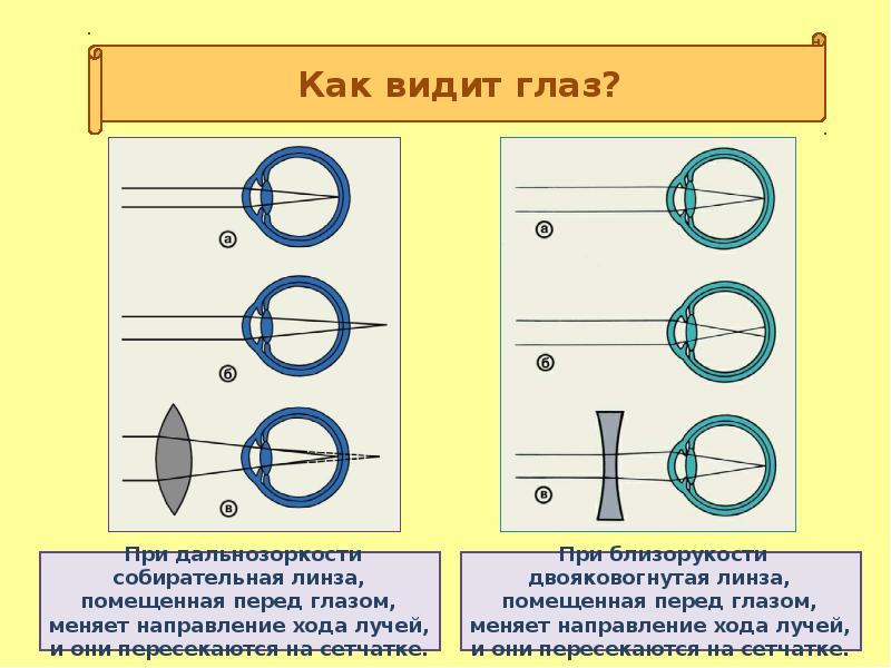 Как глаз воспринимает изображение