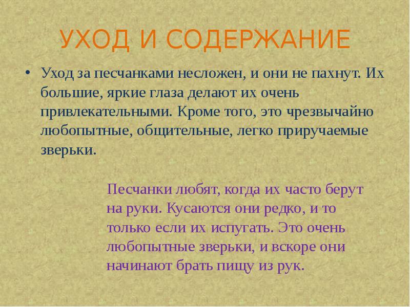 УХОД И СОДЕРЖАНИЕ
Уход за песчанками несложен, и они не пахнут. УХОД И СОДЕРЖАНИЕ
Уход за песчанками несложен, и они не пахнут.