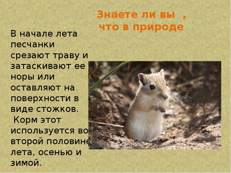 Знаете ли вы , что в природе Знаете ли вы , что в природе