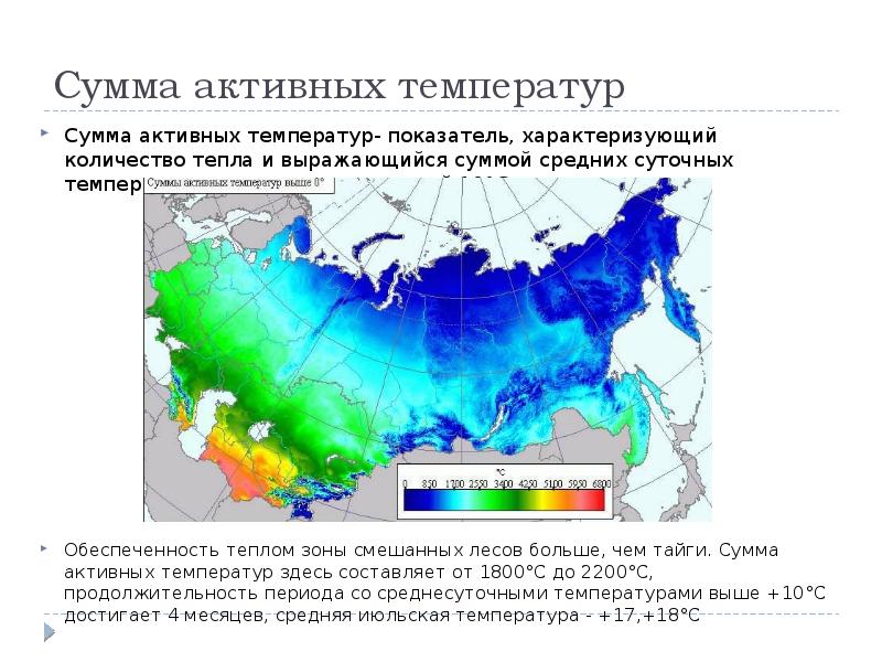 Смешанные и широколиственные леса какой климатический