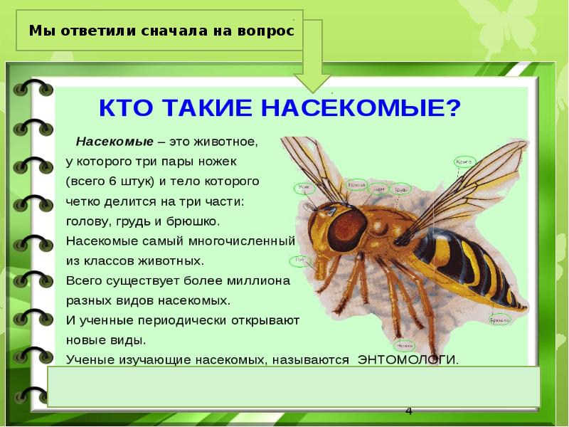 Презентация про для детей