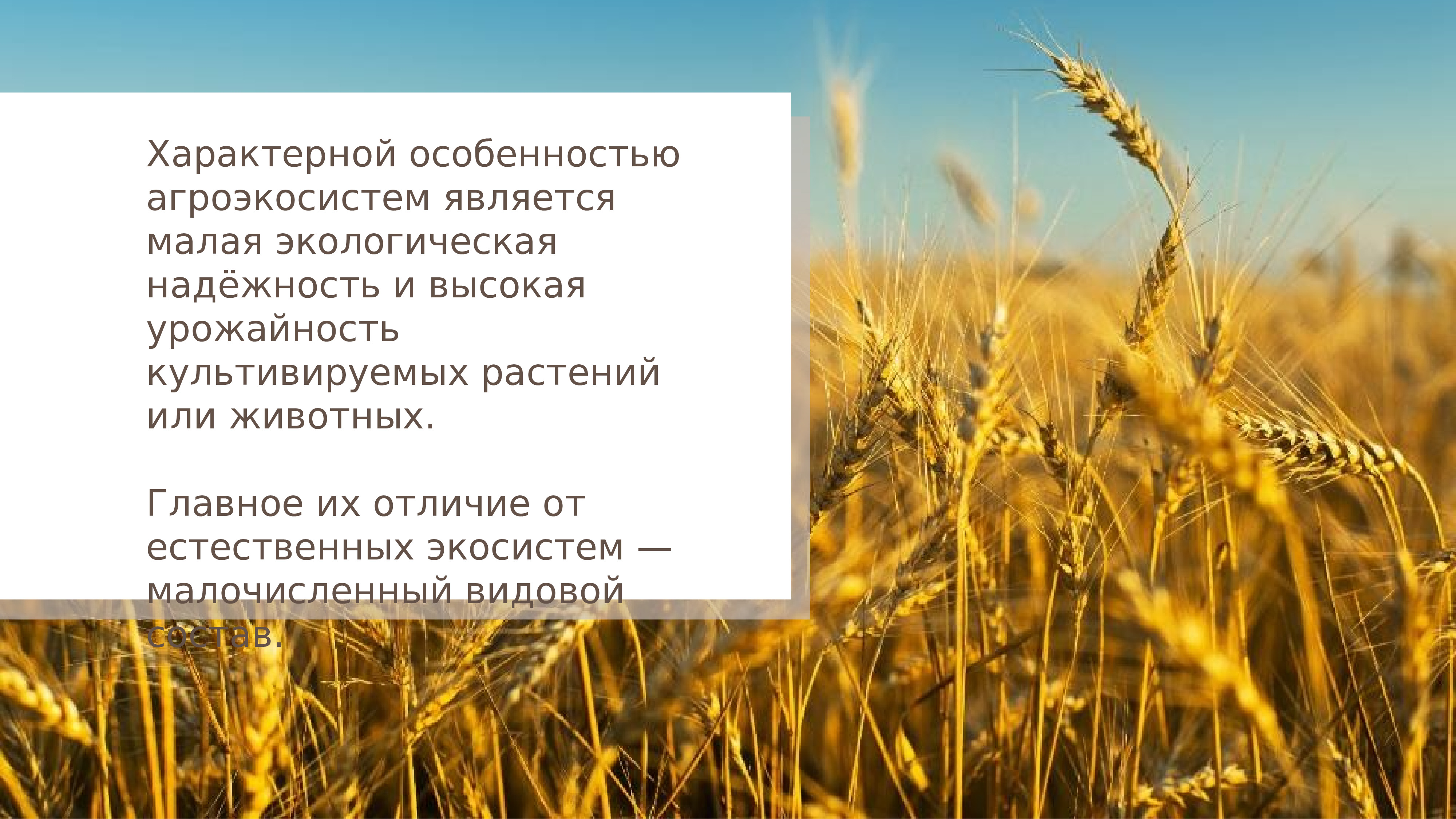 Пути повышения биологической продуктивности в искусственных экосистемах презентация