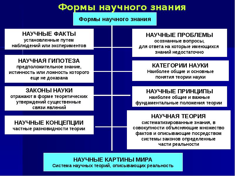 Строение и динамика научного знания научная картина мира