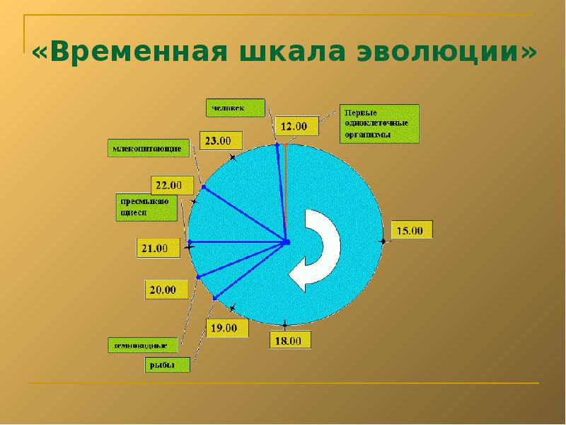 Развитие животного мира на земле презентация