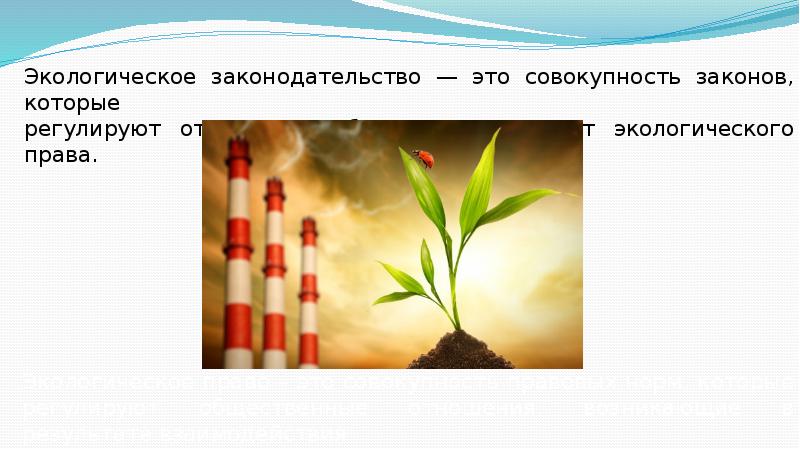 Объект экологии. Экологическое законодательство. Совокупность предметов окружающей среды. Экологизация законодательства. Закон совокупности экология.