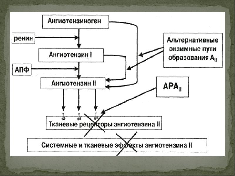 Ренин ангиотензивная система схема