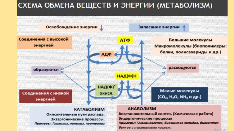 План обмена обменсообщениями