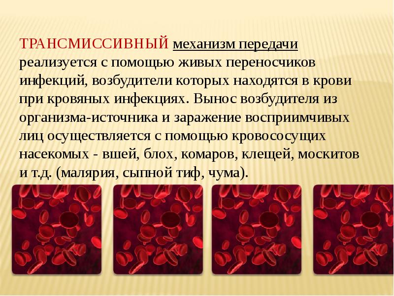 Трансмиссивный. Кровяные трансмиссивные инфекции механизм передачи. Трансмиссивный механизм передачи пути передачи. Механизм передачи при трансмиссивных инфекциях. Механизм и пути передачи при кровяных трансмиссивных инфекциях.