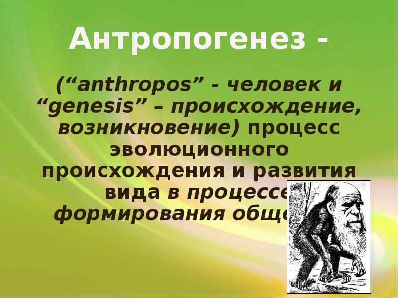 Презентация на тему происхождение человека антропогенез