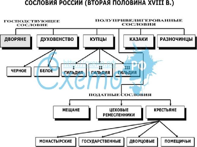 Заполните схему впишите сословия какими привилегиями обладали духовенство и дворянство