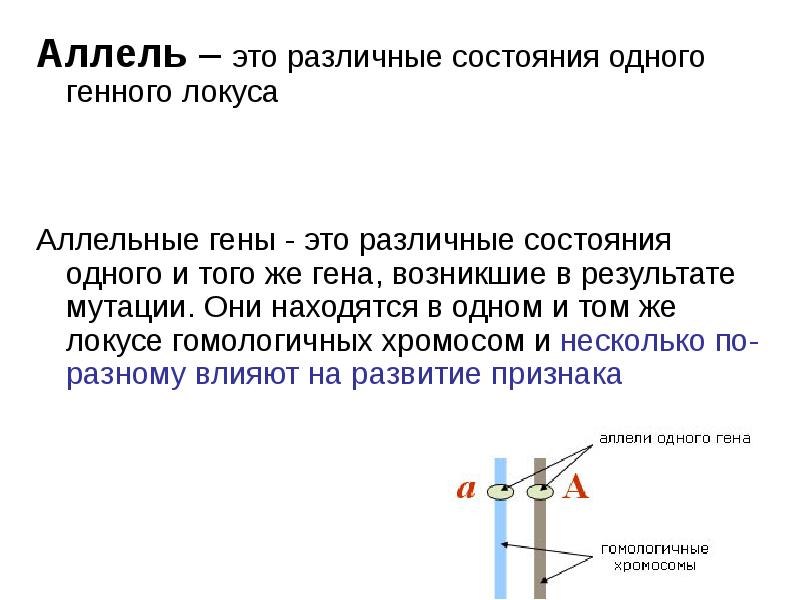 Аллели находящиеся в