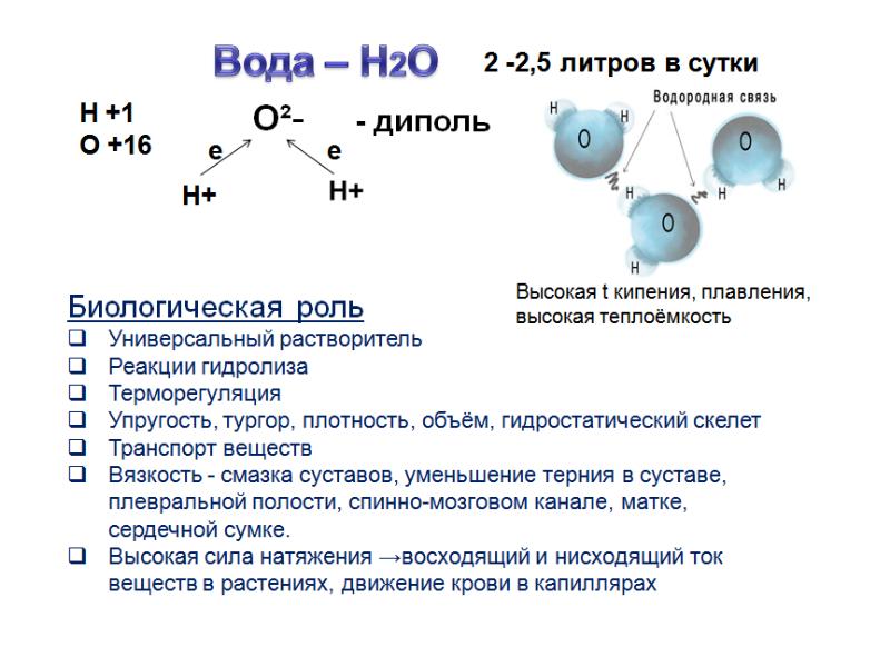 Химическая организация клетки презентация