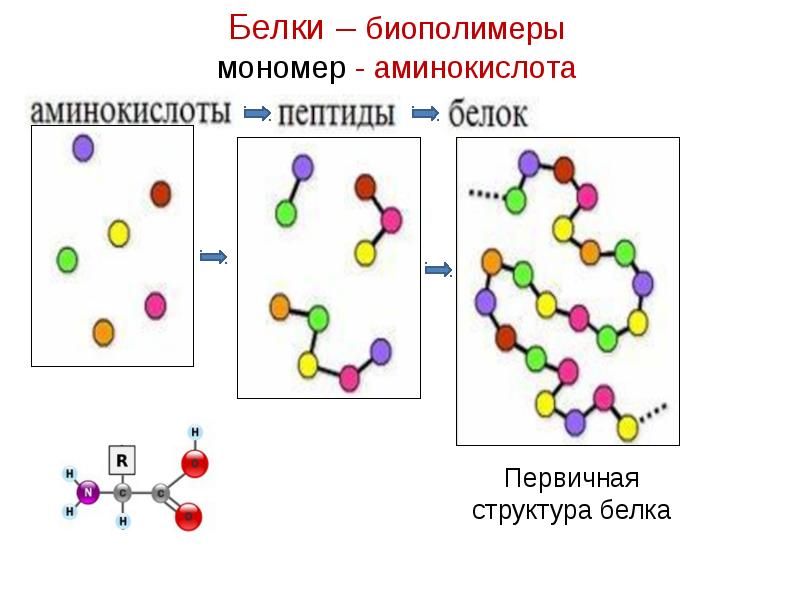 Химическая организация клетки презентация