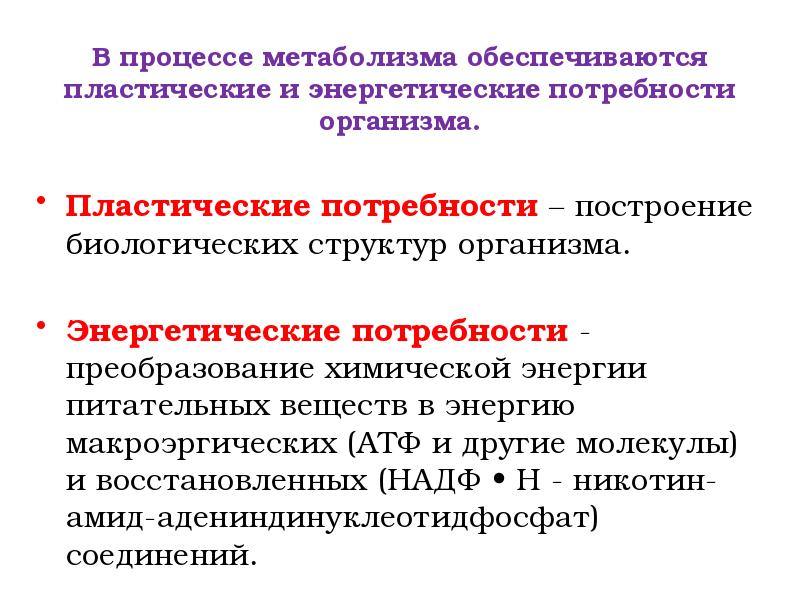 Потребности организма. Понятие энергетические потребности. Энергетические потребности организма это определение. Что включает в себя понятие «энергетические потребности»?. Энергетических и пластических потребностей организма.