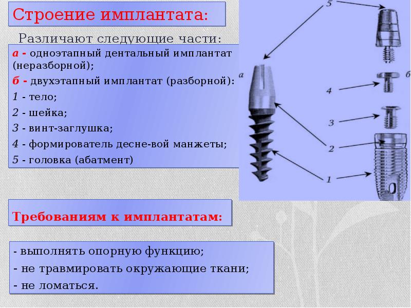 Анатомические предпосылки стоматологической имплантации презентация