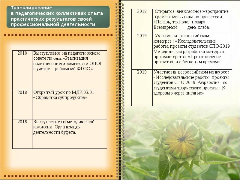 Проект для студентов спо. Что такое "транслирование в педагогических коллективах опыта..."?. Значение фамилии Трофименко.