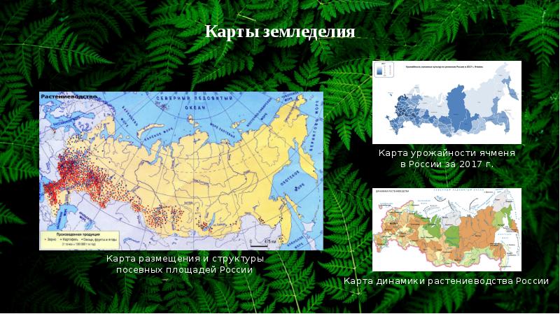 Карта земледелия. Карта земледелия России. Сельскохозяйственные культуры в России карта России. Карта урожайности России. Карта размещения посевных площадей.