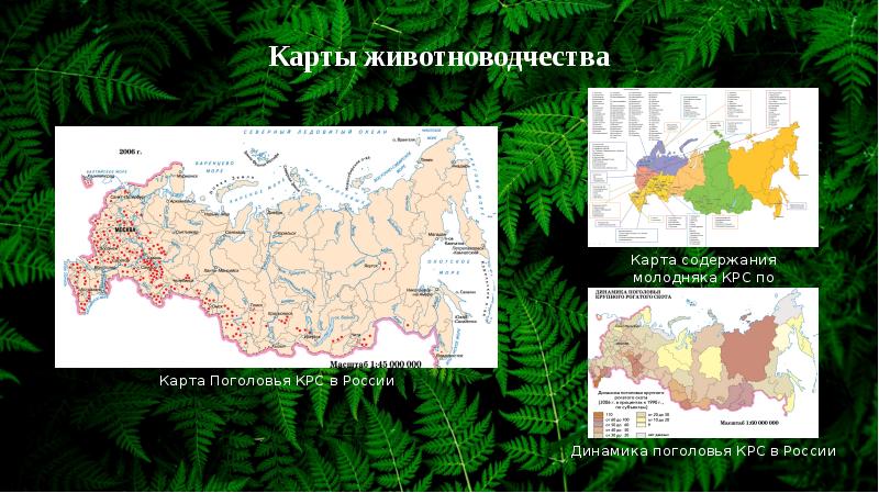 Зоны земледелия. Области рискованного земледелия карта. Зона рискованного земледелия карта мира. Районы земледелия на карте РФ. Карта сельского хозяйства КРС.