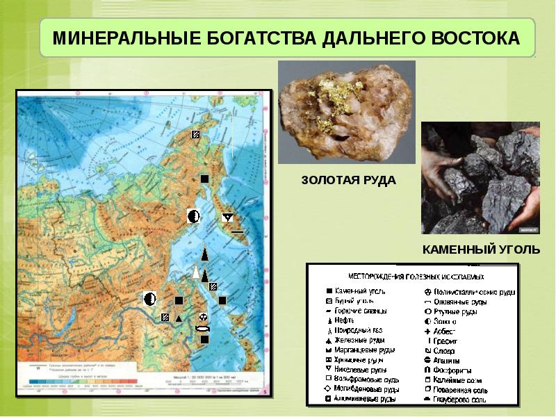 Дальний восток край контрастов презентация 8 класс