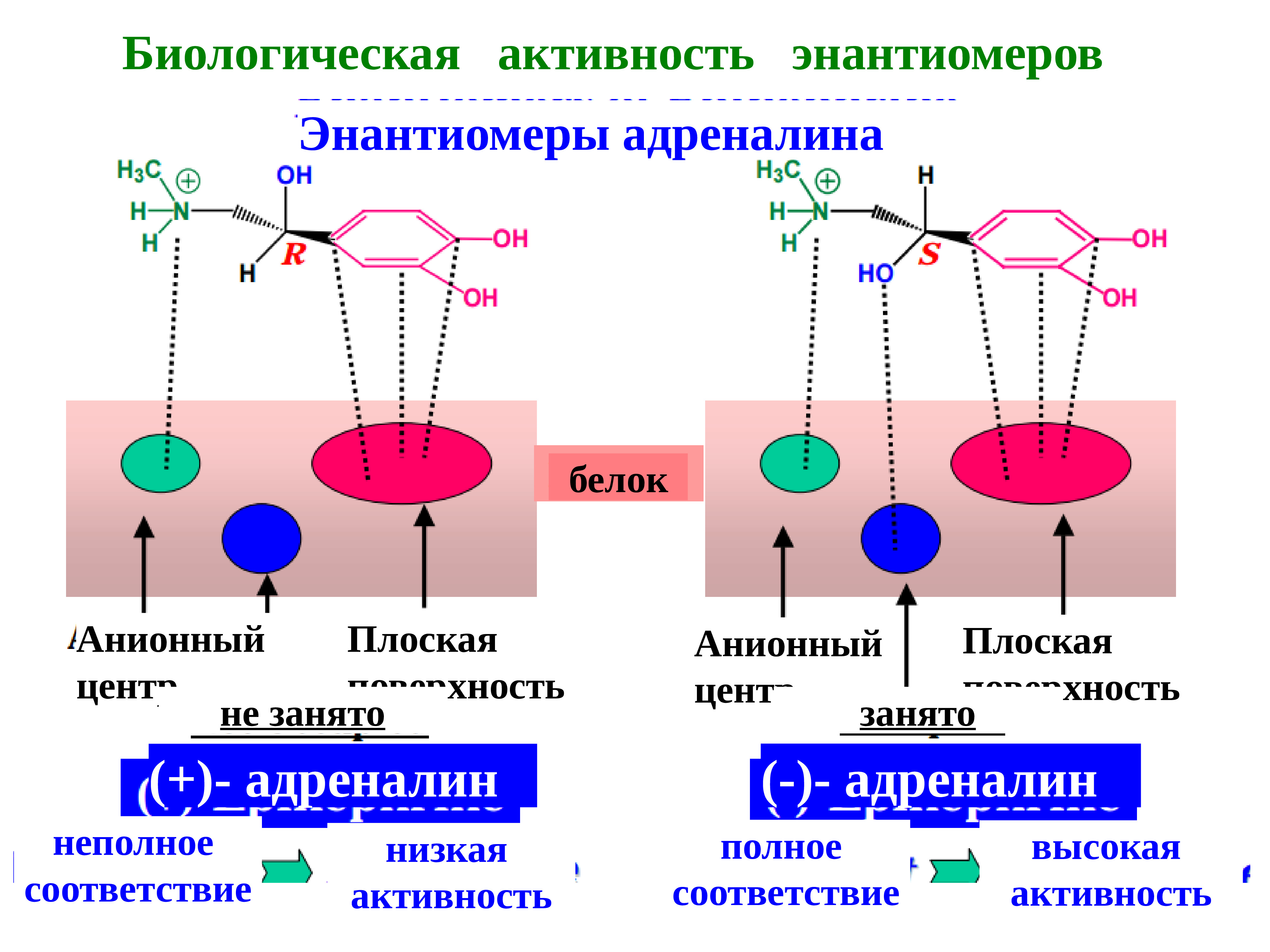 Биологическая активность соединений. Энантиомеры. Энантиомеры это в химии. Энантиомеры примеры соединений. Биоорганическая химия.