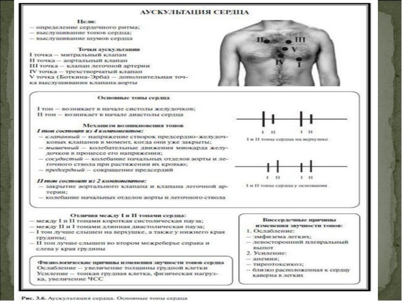 Скан Кильдиярова физикальное.