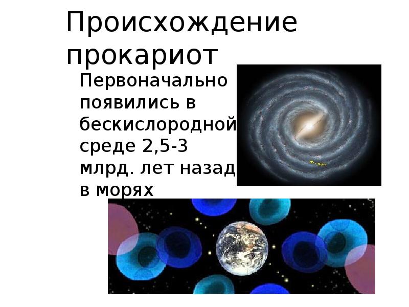 Происхождение прокариот
Первоначально появились в бескислородной среде 2,5-3 млрд. лет назад Происхождение прокариот
Первоначально появились в бескислородной среде 2,5-3 млрд. лет назад