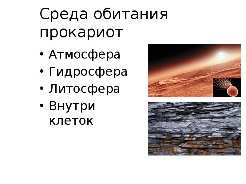 Среда обитания прокариот
Атмосфера
Гидросфера
Литосфера
Внутри клеток Среда обитания прокариот
Атмосфера
Гидросфера
Литосфера
Внутри клеток