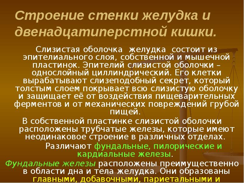 Антибиотики при язве желудка и двенадцатиперстной кишки