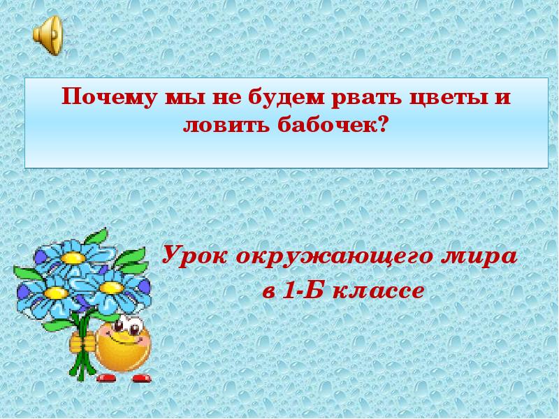 Почему не будем рвать цветы и ловить бабочек презентация 1 класс