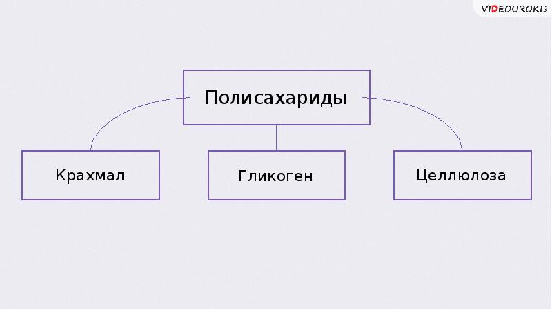 Полисахарид 7 букв