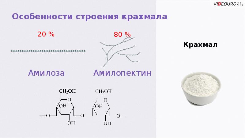 Презентация на тему полисахариды