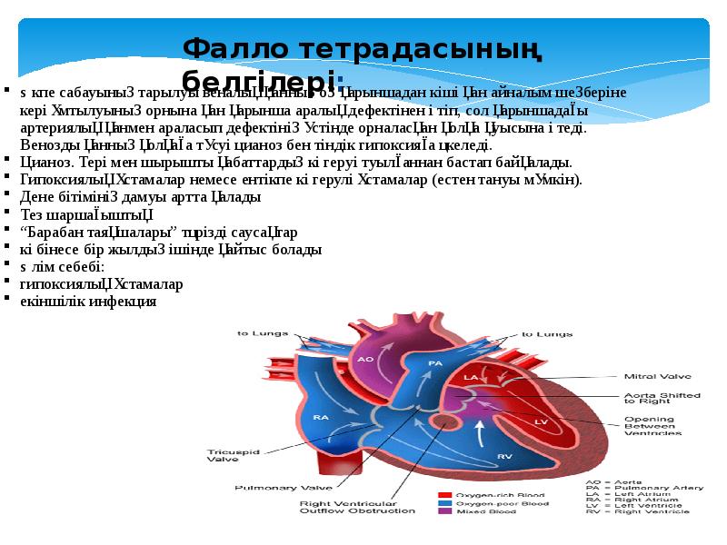 Субарахноидальды қан құйылу презентация