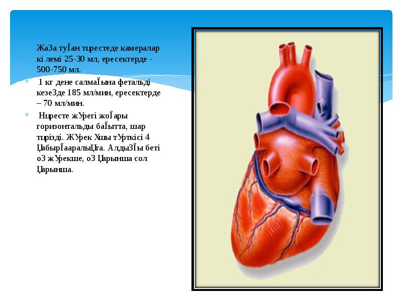 Жүректің туа біткен ақаулары презентация