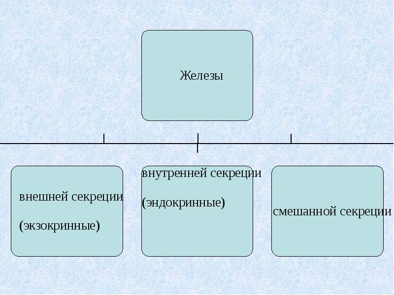 Железы внешней и внутренней секреции презентация. Эндокринные железы рыб. Железы внешней внутренней и смешанной секреции. Ткани внешней секреции у растений.