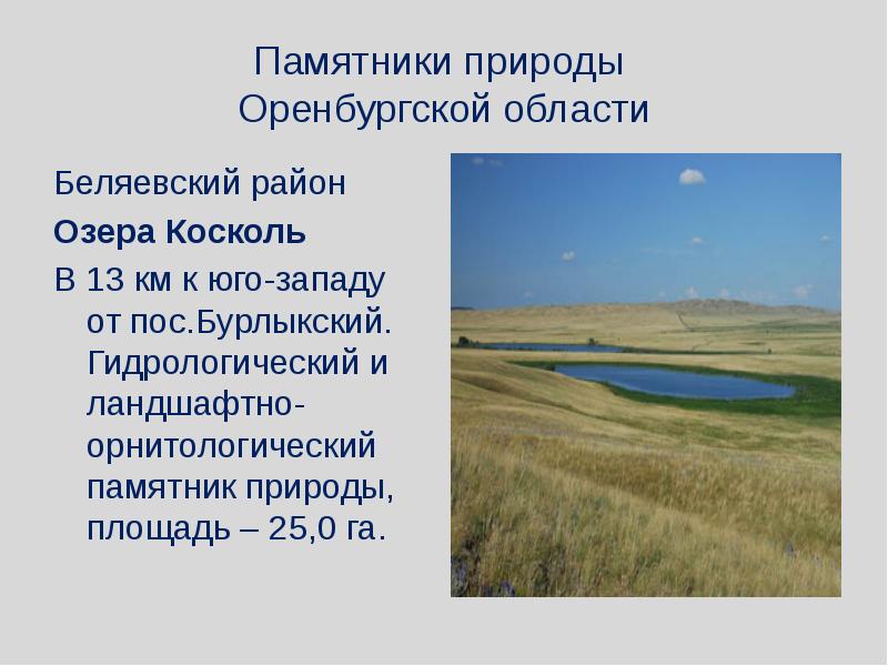 Проект про оренбургскую область 4 класс - 88 фото